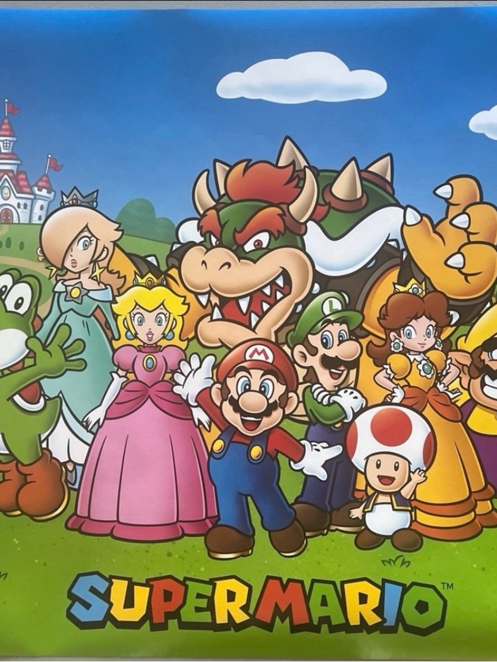 Nintendo Super Mario Characters Poster Aprox Size 24x:6 Inches